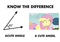 Size: 1264x891 | Tagged: safe, edit, edited screencap, screencap, fluttershy, pegasus, pony, too many pinkie pies, acute angle, cute, exploitable meme, eyes closed, female, floppy ears, image macro, know the difference, mare, meme, pun, shyabetes, smiling