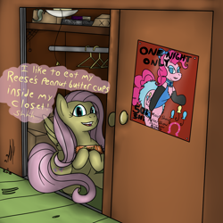 Size: 1200x1200 | Tagged: safe, artist:pavlovzdawg, fluttershy, pinkie pie, earth pony, pegasus, pony, boxes, chocolate, closet, female, food, mare, peanut butter, reese's peanut butter cups