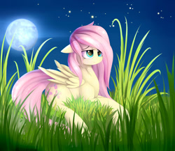 Size: 1024x890 | Tagged: safe, artist:posionjoke, fluttershy, pegasus, pony, female, floppy ears, folded wings, full moon, grass, lidded eyes, lying in grass, mare, moon, night, prone, sad, solo