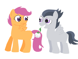 Size: 2048x1536 | Tagged: safe, artist:schwarzekatze4, rumble, scootaloo, pegasus, pony, colt, female, filly, flower, flower in mouth, male, mouth hold, rumbloo, shipping, simple background, straight, transparent background