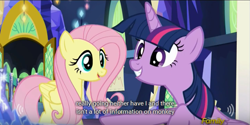 Size: 639x319 | Tagged: safe, artist:mlp-captions, derpibooru import, screencap, fluttershy, twilight sparkle, twilight sparkle (alicorn), alicorn, pegasus, pony, the hooffields and mccolts, discovery family logo, meme, youtube caption