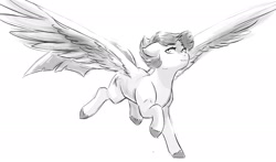 Size: 3000x1762 | Tagged: safe, artist:kianamai, oc, oc only, oc:starburst, pegasus, pony, flying, grayscale, kilalaverse, monochrome, next generation, offspring, parent:flash sentry, parent:twilight sparkle, parents:flashlight, simple background, solo, white background