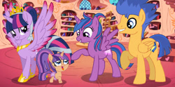 Size: 1102x546 | Tagged: safe, artist:paolahedgehog, flash sentry, twilight sparkle, twilight sparkle (alicorn), oc, oc:star sparkle, alicorn, pegasus, pony, baby, baby pony, colored wings, colored wingtips, family, female, flashlight, golden oaks library, male, new crown, offspring, parent:flash sentry, parent:twilight sparkle, parents:flashlight, shipping, spread wings, straight, unnamed oc, wings