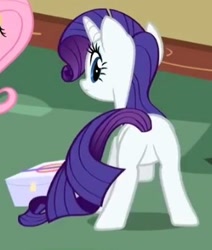 Size: 294x346 | Tagged: safe, screencap, fluttershy, rarity, pegasus, pony, unicorn, party of one, cropped, featureless crotch, plot