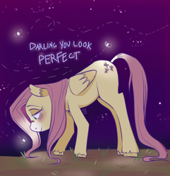 Size: 540x561 | Tagged: safe, artist:maddzroks, part of a set, fluttershy, firefly (insect), pegasus, pony, blushing, cutie mark, female, implied appleshy, implied lesbian, implied shipping, lidded eyes, mare, night, offscreen character, solo, starry night, stars, text