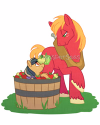 Size: 1280x1600 | Tagged: safe, artist:whisperseas, big macintosh, oc, oc:topaz apple, earth pony, pony, father and child, father and daughter, male, offspring, parent and child, parent:big macintosh, parent:marble pie, parents:marblemac, simple background, stallion, watermark, white background