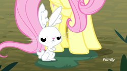 Size: 1920x1080 | Tagged: safe, screencap, angel bunny, fluttershy, pegasus, pony, yakity-sax, discovery family logo, ear plugs