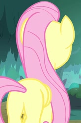 Size: 709x1078 | Tagged: safe, screencap, fluttershy, pegasus, pony, yakity-sax, cropped, female, mare, plot, rear view, solo