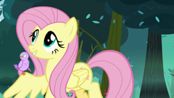 Size: 1280x720 | Tagged: safe, screencap, fluttershy, bird, pegasus, pony, season 8, the mean 6, chick, cute, female, forest, mare, shyabetes, smiling, spread wings