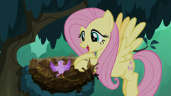 Size: 1280x720 | Tagged: safe, screencap, fluttershy, bird, pegasus, pony, season 8, the mean 6, bird nest, chick, cute, duo, female, flying, happy, kindness, mare, nest, open mouth, shyabetes, spread wings, tree, wings