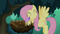Size: 1280x720 | Tagged: safe, screencap, fluttershy, bird, pegasus, pony, season 8, the mean 6, bird nest, chick, cute, duo, eyes closed, female, flying, hug, kindness, mare, nest, shyabetes, tree