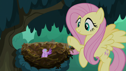 Size: 1280x720 | Tagged: safe, screencap, fluttershy, bird, pegasus, pony, season 8, the mean 6, bird nest, chick, cute, duo, female, flying, mare, nest, shyabetes, tree, waving