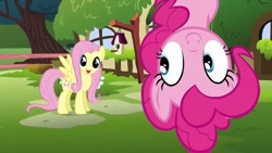 Size: 1280x720 | Tagged: safe, screencap, fluttershy, pinkie pie, earth pony, pegasus, pony, duo, female, fluttershy's cottage, happy birthday to you!, in which pinkie pie forgets how to gravity, mare, netflix, pinkie being pinkie, pinkie physics, upside down, voice actor joke