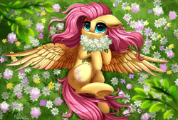 Size: 2516x1689 | Tagged: safe, artist:pridark, fluttershy, pegasus, pony, commission, cute, daaaaaaaaaaaw, female, flower, grass field, hnnng, mare, precious, pridark is trying to murder us, scenery, shyabetes, solo, spread wings, underhoof, weapons-grade cute, wings