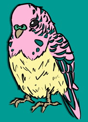 Size: 800x1100 | Tagged: safe, artist:threetwotwo32232, fluttershy, bird, atg 2018, budgerigar, budgie, newbie artist training grounds, parakeet, solo, species swap