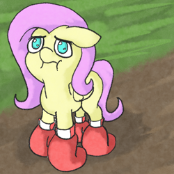 Size: 400x400 | Tagged: source needed, safe, artist:happy harvey, fluttershy, pegasus, pony, :i, :t, boxing gloves, cute, dirt, drawn on phone, floppy ears, frown, grass, looking at you, looking up, no pupils, ponified animal photo, puffy cheeks, sad, sadorable, shyabetes, solo, wat