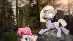Size: 1920x1080 | Tagged: safe, artist:star-lightstarbright, limestone pie, pinkie pie, pony, 3d, angry, forest, mouth hold, pickaxe, prone, rock