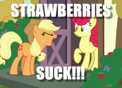 Size: 714x516 | Tagged: safe, edit, edited screencap, screencap, applejack, strawberry sunrise, earth pony, pony, honest apple, image macro, meme, that pony sure does hate strawberries, this will end in pain, this will end in tears, yelling