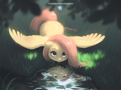 Size: 2528x1877 | Tagged: safe, artist:katputze, fluttershy, pegasus, pony, beautiful, cute, drinking, female, grass, looking at you, looking up, mare, reflection, scenery, scenery porn, shyabetes, solo, spread wings, water, wings