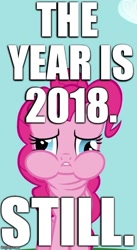 Size: 369x671 | Tagged: safe, edit, edited screencap, screencap, pinkie pie, earth pony, pony, 2018, captain obvious, cropped, fact, image macro, meme, solo