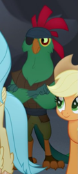 Size: 363x801 | Tagged: safe, screencap, applejack, mullet (character), princess skystar, classical hippogriff, earth pony, hippogriff, pony, my little pony: the movie, basalt beach, cropped, crossed arms, eyepatch, male, parrot pirates, pirate, solo focus