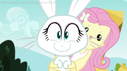 Size: 960x540 | Tagged: safe, edit, edited screencap, screencap, angel bunny, fluttershy, rabbit, equestria girls, friendship games, face swap, female, hilarious in hindsight, male, wat