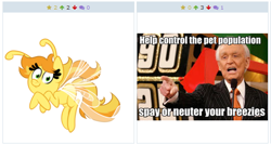 Size: 518x278 | Tagged: safe, braeburn, breezie, it ain't easy being breezies, bob barker, breeziefied, derpibooru, exploitable meme, juxtaposition, juxtaposition win, meme, meta, species swap