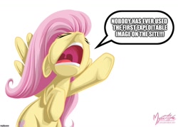 Size: 1120x800 | Tagged: safe, artist:mysticalpha, edit, editor:useraccount, fluttershy, pegasus, pony, exploitable, eyes closed, female, image macro, imgflip, impact font, mare, meme, nose in the air, open mouth, sad but true, signature, simple background, solo, truth, underhoof, white background, yelling