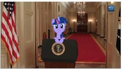 Size: 657x373 | Tagged: safe, derpibooru import, edit, twilight sparkle, c:, cute, flag, irl, leaning, looking at you, photo, president, smiling, solo, twiabetes, white house