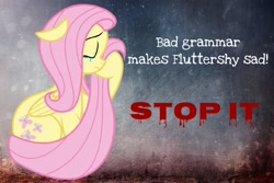 Size: 1094x730 | Tagged: safe, edit, fluttershy, pegasus, pony, crying, cutie mark, eyes closed, female, floppy ears, image macro, mare, meme, sad, sitting, text, wings