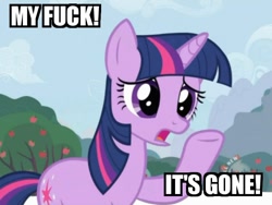 Size: 750x563 | Tagged: safe, derpibooru import, twilight sparkle, look at all the fucks i give, no fucks, reaction image, vulgar