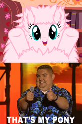 Size: 480x729 | Tagged: safe, oc, oc only, oc:fluffle puff, gabriel iglesias, image macro, meme, meta, that's my pony, that's my x