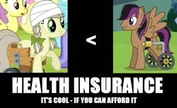 Size: 861x527 | Tagged: safe, edit, edited screencap, screencap, jinx, stellar eclipse, earth pony, pegasus, pony, trade ya, exploitable meme, female, injured, insurance, male, mare, meme, meta, politics in the comments, stallion, wheelchair