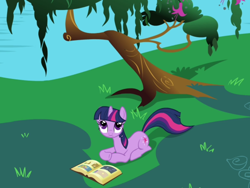 Size: 800x600 | Tagged: safe, derpibooru import, screencap, twilight sparkle, unicorn twilight, pony, unicorn, friendship is magic, book, book of harmony, female, grass, looking up, mare, meadow, overhead view, pond, sitting, solo, tree