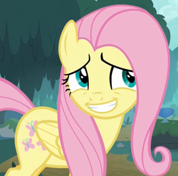 Size: 927x915 | Tagged: safe, screencap, fluttershy, pegasus, pony, yakity-sax, cropped, female, grin, mare, smiling, solo