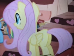 Size: 3668x2779 | Tagged: safe, screencap, fluttershy, pegasus, pony, sonic rainboom (episode), female, golden oaks library, mare, open mouth, plot, solo