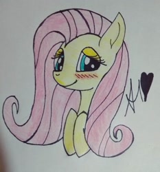 Size: 1080x1159 | Tagged: safe, artist:theshytype, fluttershy, pegasus, pony, solo, traditional art