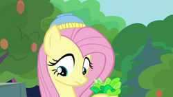 Size: 1280x720 | Tagged: safe, screencap, fluttershy, pegasus, pony, fake it 'til you make it, female, food, lettuce, mare, solo