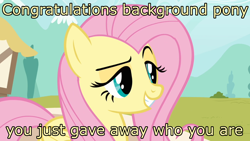 Size: 1600x900 | Tagged: safe, edit, edited screencap, screencap, fluttershy, pegasus, pony, putting your hoof down, dreamworks face, female, flutterbitch, image macro, mare, meme, new fluttershy, raised eyebrow, reaction image, smug, solo, trollface