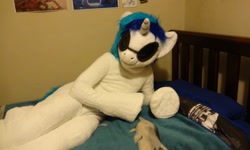 Size: 1280x766 | Tagged: safe, dj pon-3, vinyl scratch, human, fursuit, irl, irl human, photo, solo