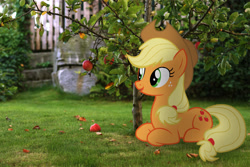 Size: 3000x2000 | Tagged: safe, artist:stormxf3, applejack, irl, photo, ponies in real life, solo