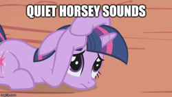 Size: 640x360 | Tagged: safe, derpibooru import, edit, edited screencap, screencap, twilight sparkle, the ticket master, descriptive noise, horse noises, meme, solo