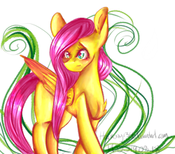 Size: 4000x3500 | Tagged: safe, artist:harmony134, fluttershy, pegasus, pony, female, mare, signature, simple background, solo, transparent background