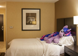 Size: 2695x1943 | Tagged: safe, artist:qtpony, derpibooru import, twilight sparkle, bed, book, hotel room, irl, life size, photo, plushie, solo