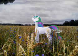 Size: 1920x1374 | Tagged: safe, artist:the-brightest-sunny-days, princess celestia, alicorn, pony, cloud, cloudy sky, field, irl, photo, ponies in real life, sad, solo, standing, wheat