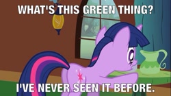 Size: 800x449 | Tagged: safe, derpibooru import, edit, edited screencap, screencap, twilight sparkle, image macro, meme, teapot, text