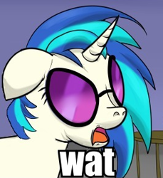 Size: 265x289 | Tagged: safe, artist:ragingsemi, edit, dj pon-3, vinyl scratch, pony, female, image macro, mare, meme, reaction image, solo, wat