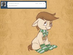 Size: 1024x764 | Tagged: safe, artist:pashapup, pipsqueak, earth pony, pony, ask, ask pipsqueak the pirate, bow, clothes, colt, floppy ears, male, no pupils, sitting, smiling, socks, solo, striped socks