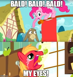 Size: 500x529 | Tagged: safe, edit, edited screencap, screencap, big macintosh, cranky doodle donkey, pinkie pie, donkey, earth pony, pony, a friend in deed, the break up breakdown, bald, comic, female, male, mare, meme, my eyes, screencap comic, spongebob squarepants, stallion, the spongebob squarepants movie