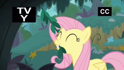 Size: 1920x1080 | Tagged: safe, screencap, fluttershy, pegasus, pony, yakity-sax, biting, cute, female, mare, mouth hold, nom, shyabetes, solo, tv rating, tv-y